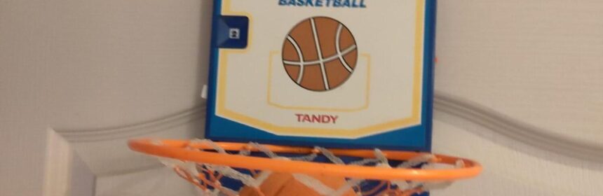 Tandy Basket 2